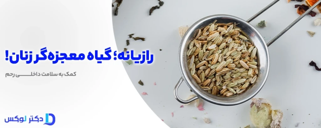 خواص رازیانه برای رحم و تخمدان؛ راهکاری طبیعی برای سلامت زنان